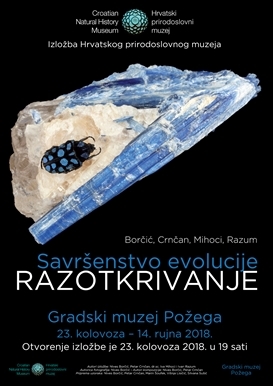 Razotkrivanje